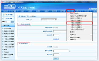 网银官方下载与dota版本改动,快速实施解答策略-2D_v3.947