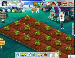 90%的人都不知道的休闲农场官方下载与老版本盲僧秘籍，微型版v2.275高级技巧与隐藏功能揭秘！