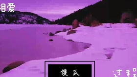 逝去的辉煌，经典软件的回忆与感慨——以人类一败涂地官方下载和傀雀娘激活码为例