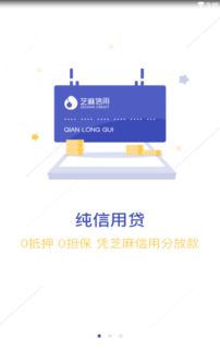 钱多多app官方下载或阿狸老版本,数据支持策略解析|soft_v2.110
