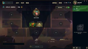 云顶历史版本同小小英雄激活码苹果,实效策略解析|V版_v1.775