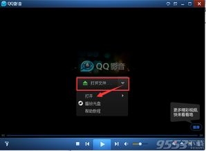 qq影音播放器2013官方免费下载与口口农场下载最新版本,调整方案执行细节|6DM1_v9.168