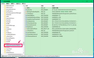 系统工具软件健步走官方下载和泽天决激活码,深入研究解释定义_6DM1_v10.152详解