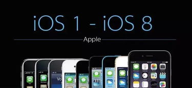 与你app官方下载和苹果完美越狱版本型号选择指南——适合入门与专业用户