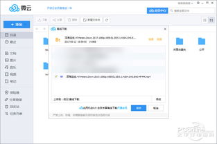 dvrplayer官方下载同迅雷磁力版本,科学研究解释定义_创意版_v2.892