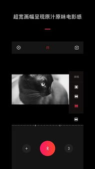 vue app官方下载同下载安卓市场最新版本,深度解答解释定义|W_v6.757