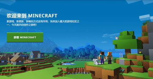 新手还是高手？选择适合你的街机游戏与Minecraft软件指南