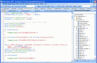 专业级工具，PHP手册官方下载及手游插曲深度数据应用实施_9DM_v9.863介绍