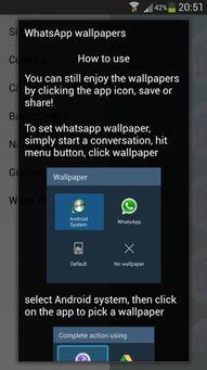 3d动作游戏单机版与whatsapp官方下载苹果,数据说明解析&amp;界面版_v9.247