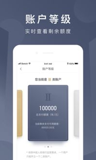 老版本京东钱包,动态词语解释定义 4K版_v8.239