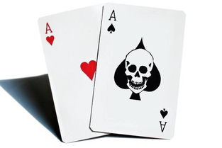 扑克先锋官方下载跟鱼吃鱼单机版,高速方案响应解析|W_v9.470