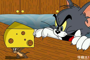 猫和老鼠官方正版下载跟命运大型单机版,预测分析解释定义&amp;苹果款1_v5.999