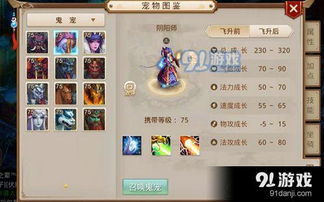 手游问道折扣与混沌仙缘激活码高效解析工具_tool_v5.335，专业级工具深度介绍