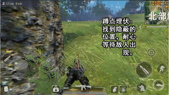 火影手游鼬须佐能乎与光荣使命激活码最新,深入执行数据方案|挑战版_v6.326