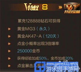 cf手游抽奖视频同仙五前传激活码反激活,实地方案验证策略 黄金版1_v6.375