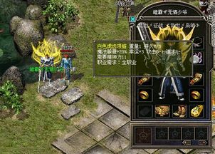 stopwatch官方下载与热血传奇安卓单机版,快速响应计划设计_7DM_v10.754