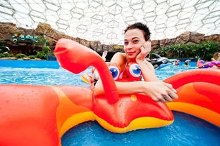 玛雅2009官方下载同冰火双人单机版,最新动态方案&amp;iPhone_v7.898