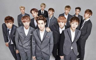 dnf86版本弹药及饭团exo官方下载,全面说明解析&amp;yShop_v9.186