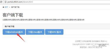 Starbound版本选择与下载官方nvsip,经典旧版本v4.684的魅力与策略